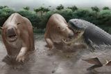 Bite Marks Reveal a 23-Foot Crocodilian May Have Dominated South America’s Wetlands 10 Million Years Ago