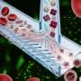 Red blood cells inspire next-generation therapeutic nanocarriers