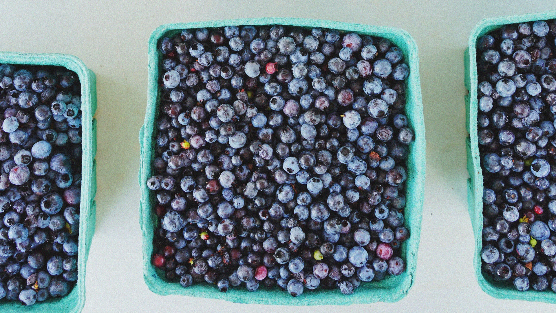 Can Blueberries Improve Your Mood? A 3-Month Study Found a Surprising Clue in the Gut