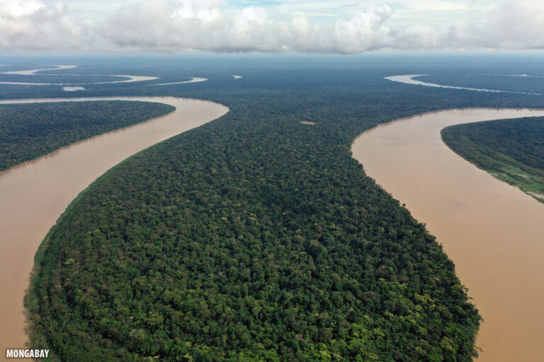 IUCN’s Madhu Rao on the world’s protected areas: Progress, pressures and the race to 2030