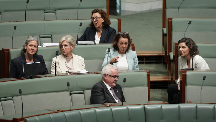 Politicians urged to report threats and vary daily habits