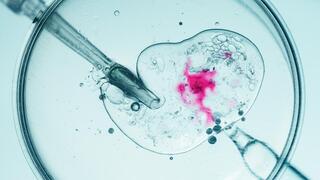 Another IVF scandal in Israel: Father says son was conceived using another man's sperm