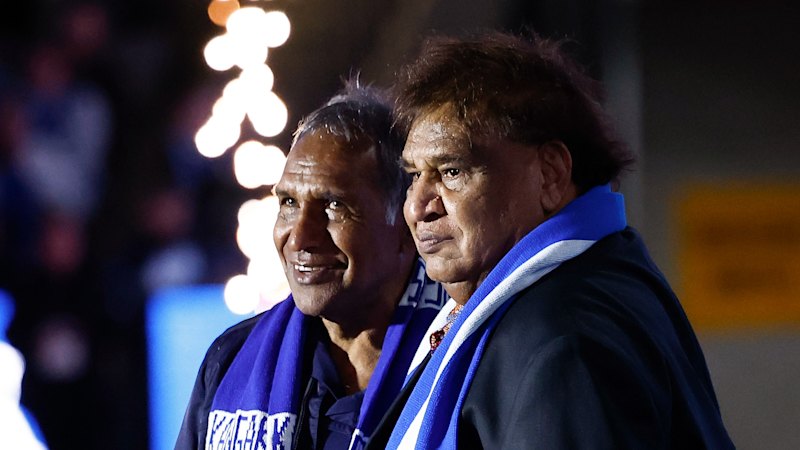 Hanson’s ‘dehumanising’ comments spur former footy star in AFL legal fight