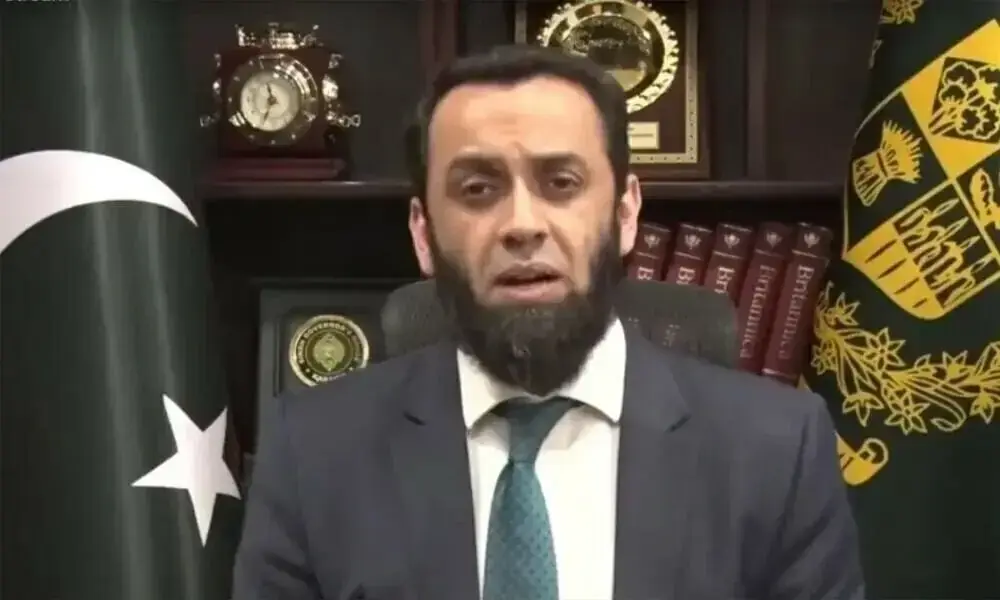 Govt to highlight Z-Wallet initiative on cashless economy soon: Tarar