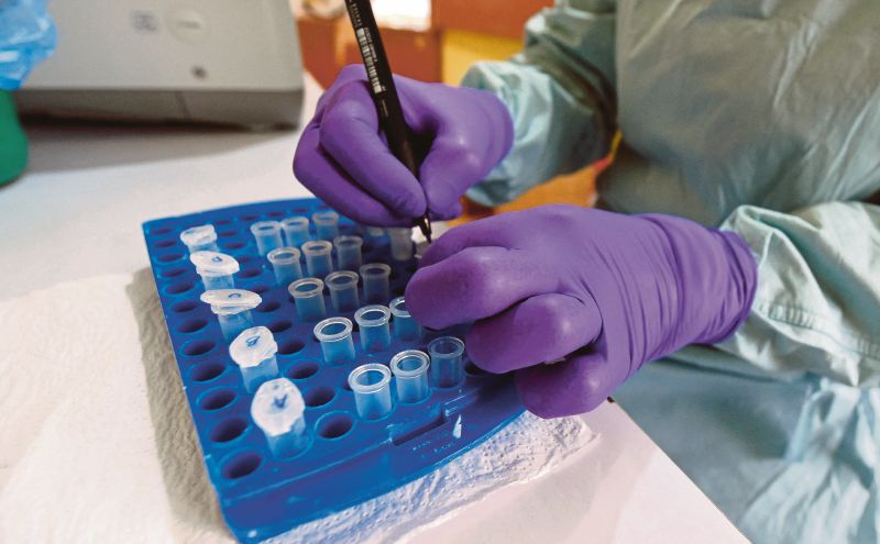 Nigeria Ebola case matches DR Congo strain