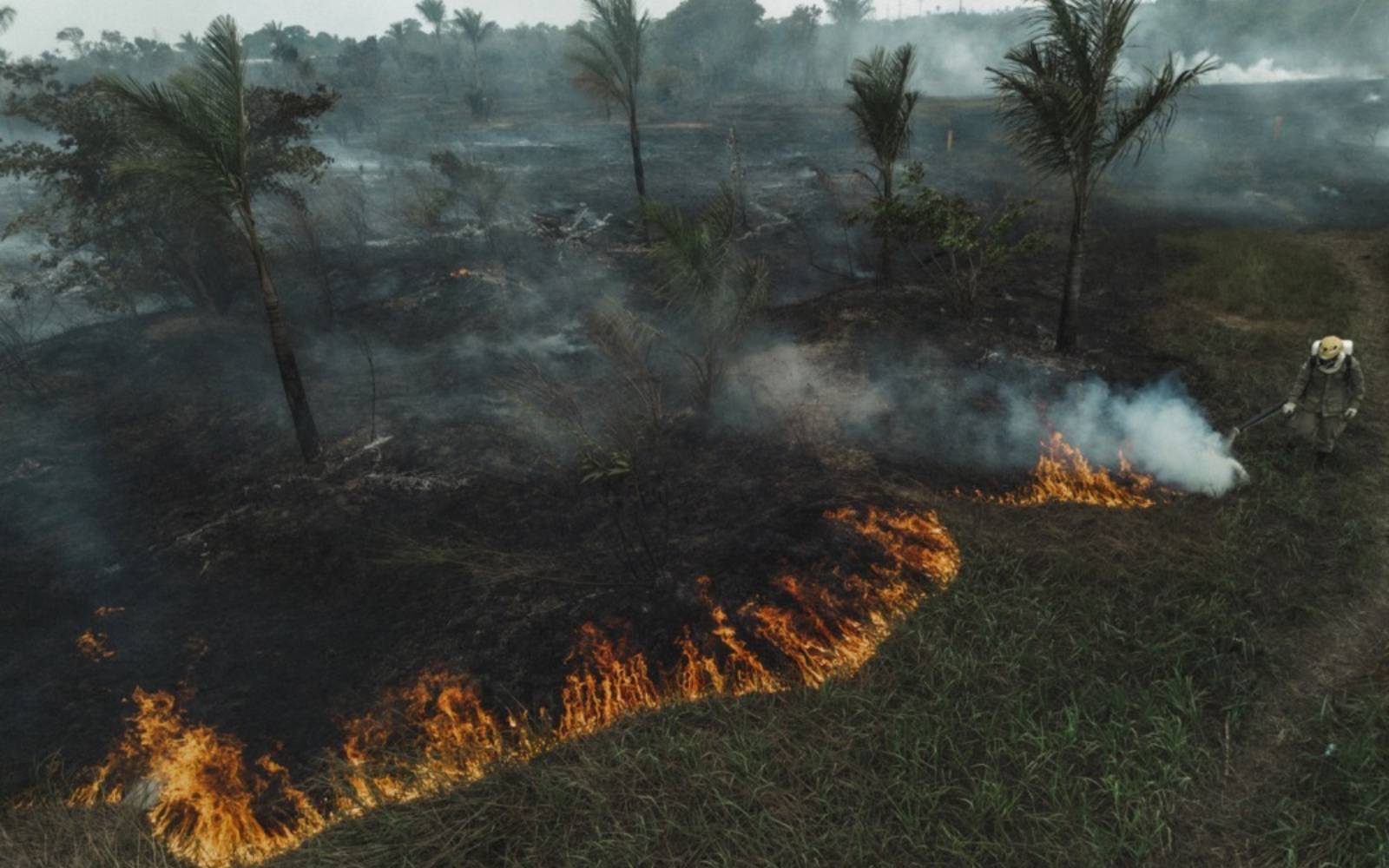 Fires fuelled by El Nino leave 12 dead in Peru