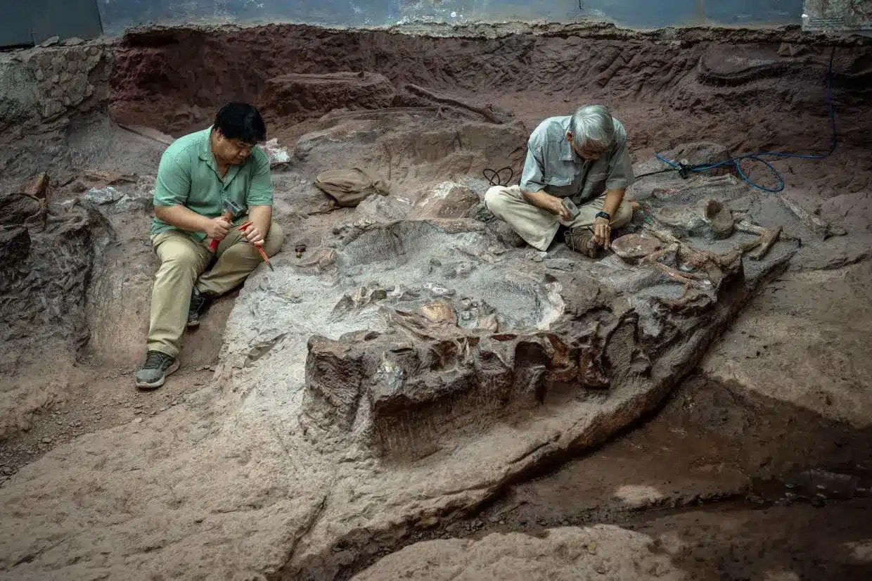 Exploring Thailand’s Dinosaur Fossil Sites