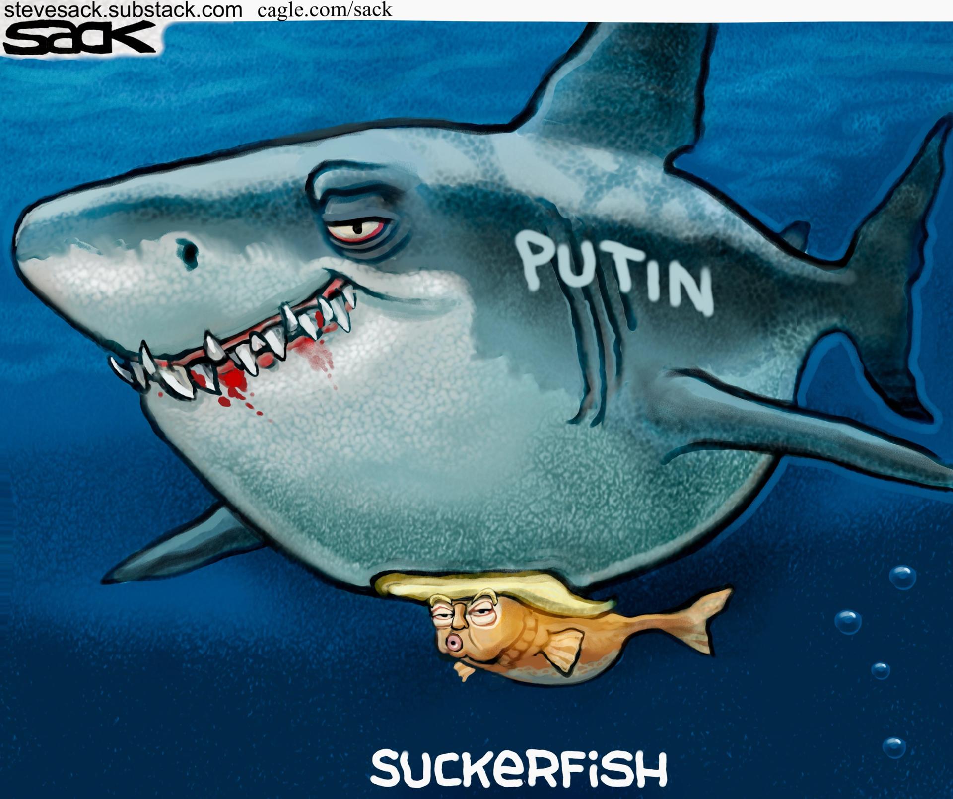 Putin shark and Trump suckerfish