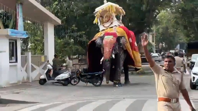 Temple elephant runs amok