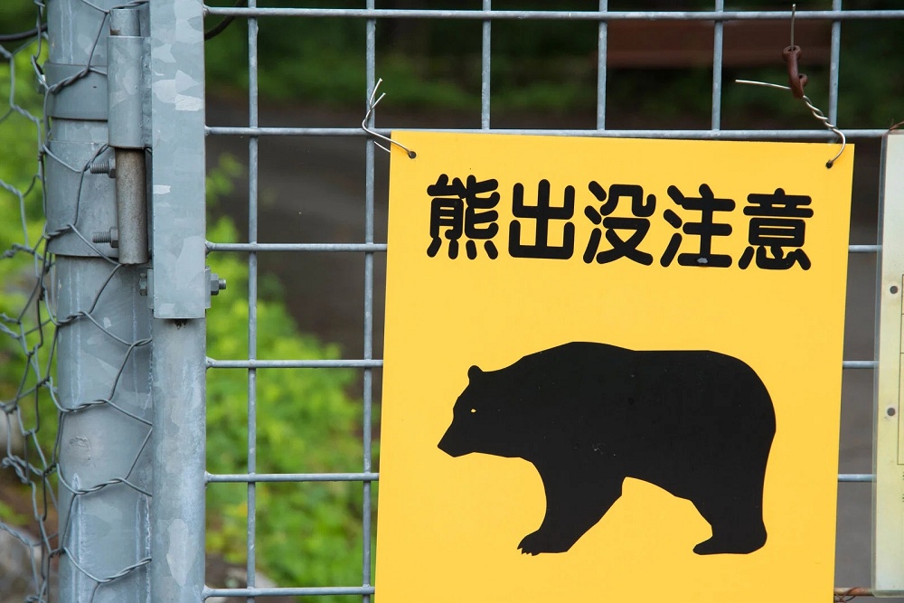 Japanese scientists developing cute, autonomously swarming robo dogs for anti-bear patrols [Video]