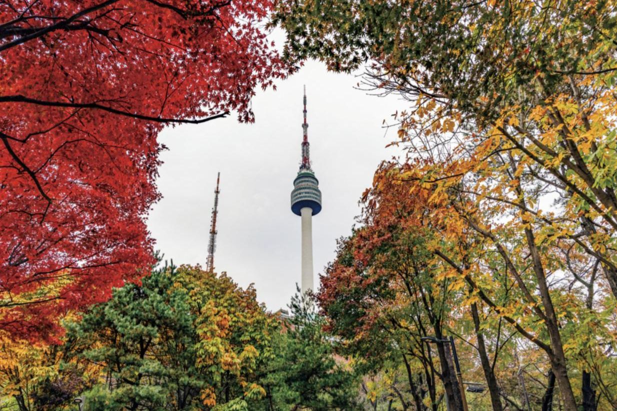 Seoul invites visitors to monthlong autumn festival on Mount Nam