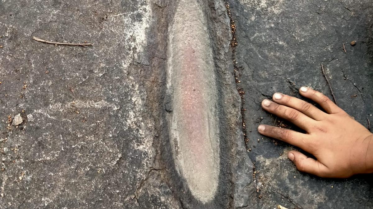 Prehistoric rock formations found at Mrugavani National Park