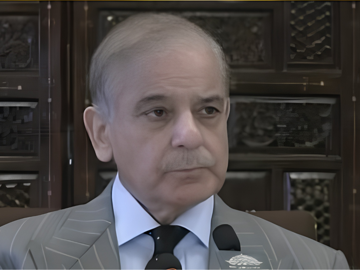 PM Shehbaz vows to restore peace, development in K-P after imposition of emergency