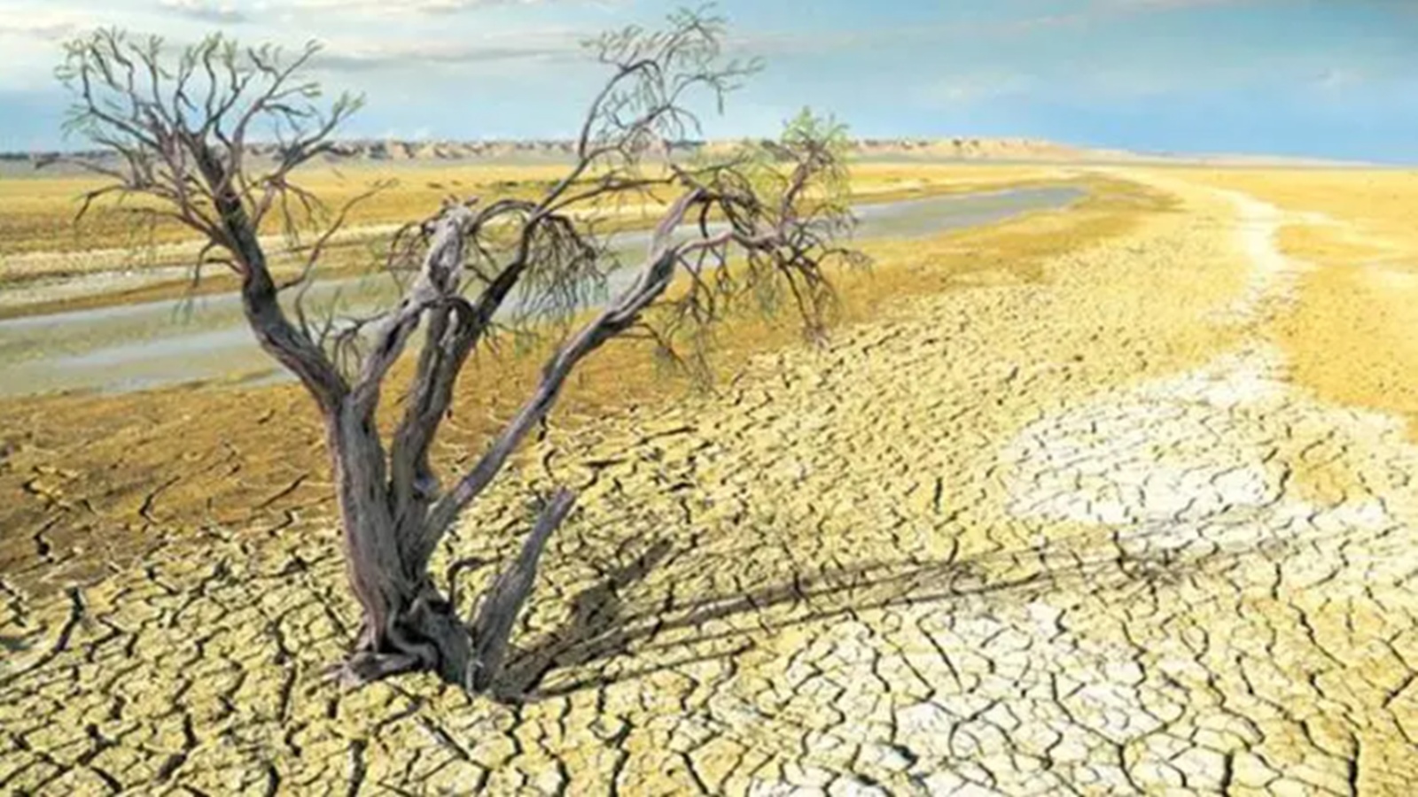 Breach of 1.5 degree Celsius temperature threshold now ‘unavoidable’: Emissions Gap Report