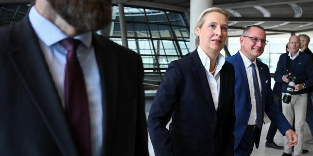 Alice Weidel's failed charm offensive at the European Parliament