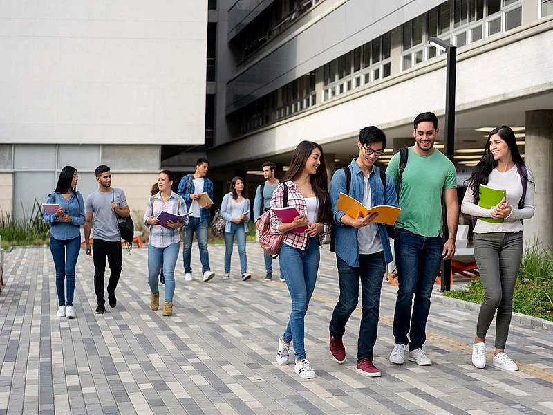UAE cracks down on universities and training centres breaking rules