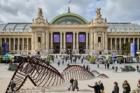Art Basel Paris to close early due to protests
