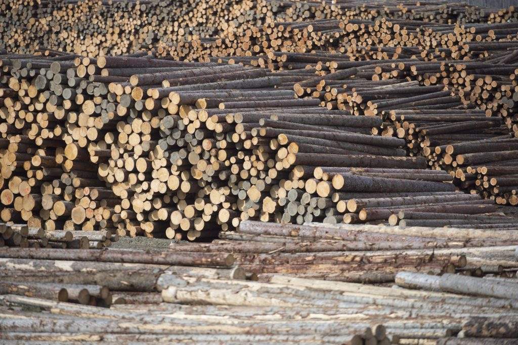 B.C. plywood manufacturer says it cannot absorb 50% tariff cost as deadline looms