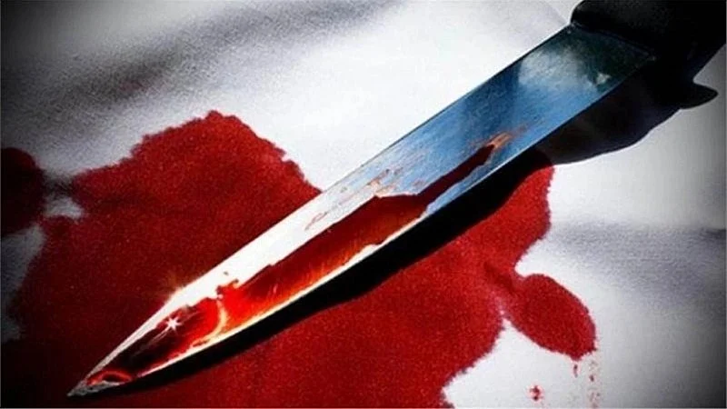 Bhopal Crime: Youth Stabbed At Wedding, Two Brothers Attacked With Iron Pipe Over Alcohol Money