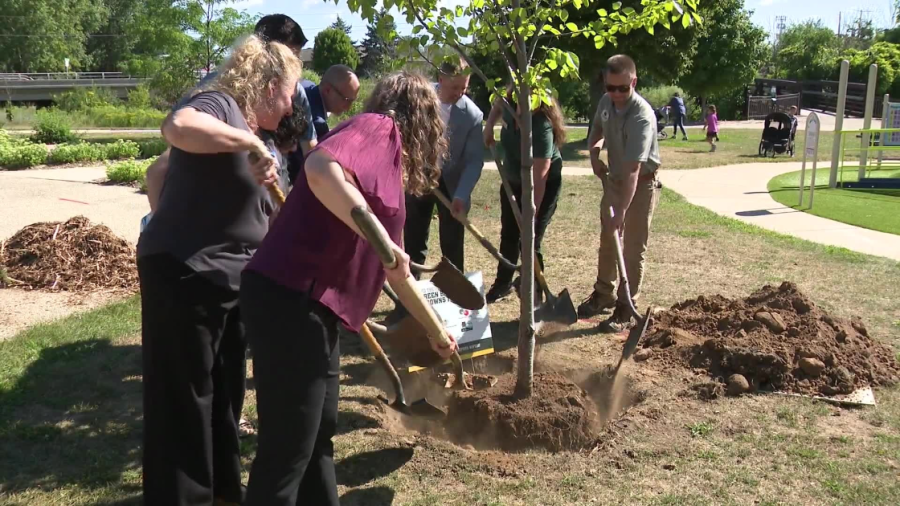 Packers donate nearly 400 trees to Brown County via First Down for Trees