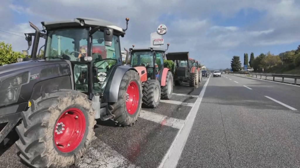 Italy's trucker protests halt buffalo mozzarella production, cost producers €3m