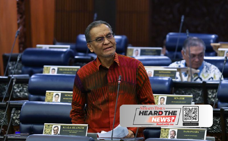 Govt coordinating efforts to address mental health issues, says Dzulkefly
