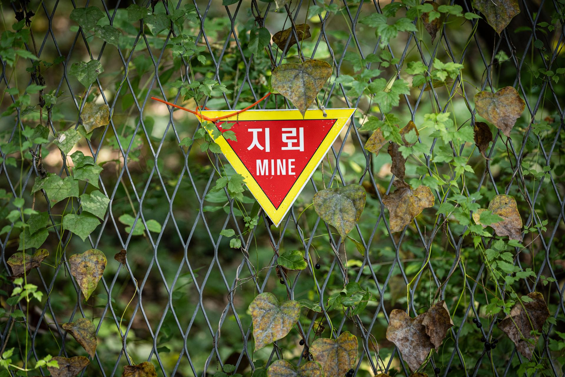 S. Korea sends letter to UNSC urging NK to take responsibility for DMZ mine blasts