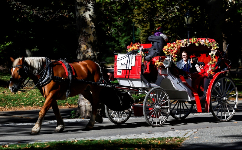 New York votes to ban Central Park horse carriages after decades of debate