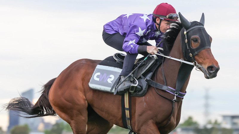 Like bacon and eggs, this perfect pairing is hard to go past in the Cox Plate