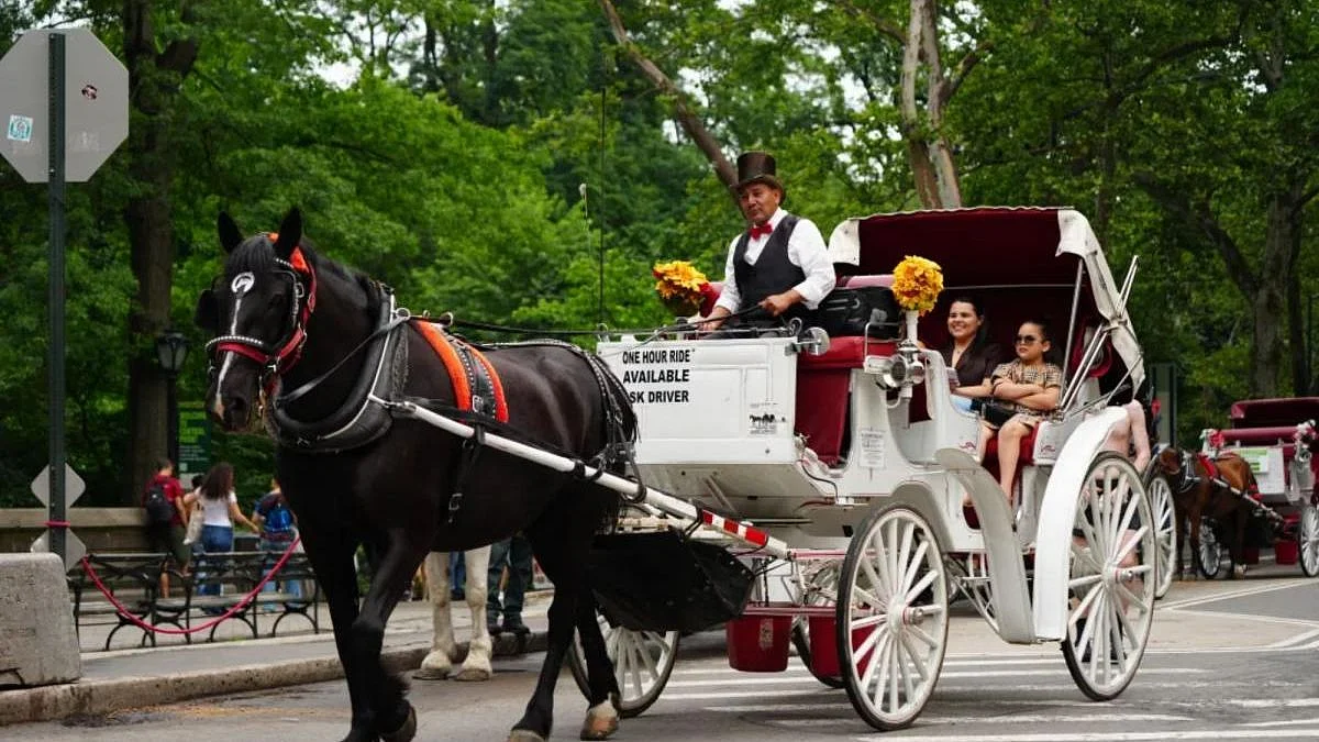 New York City Moves To End 150-Year-Old Central Park Horse-Drawn Carriage Tradition With Ban Set For 2028 Amid Animal Welfare Concerns