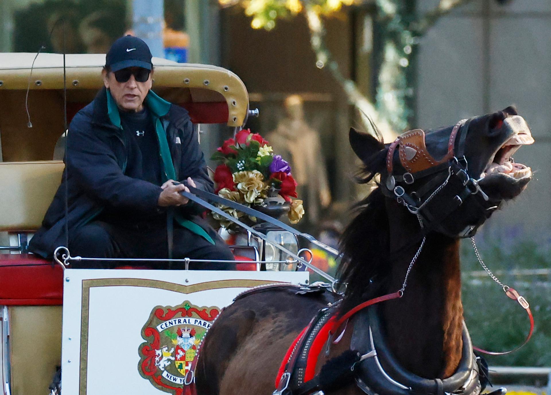 New York votes to ban Central Park horse carriages after decades of debate