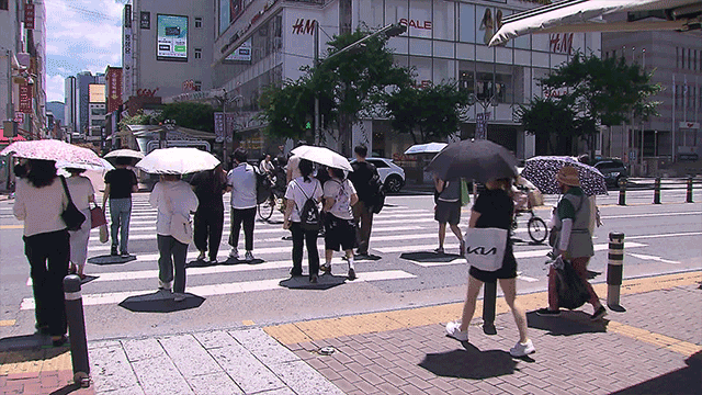 Heat Wave Advisories Issued for Seoul's 19 Districts