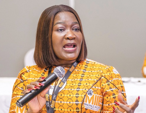 Investment, regional cooperation key to African mineral value addition — MIIF CEO