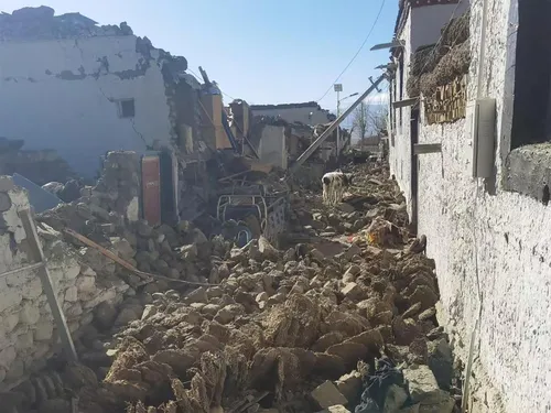 China orders 'all-out' rescue after Tibet quake kills 16