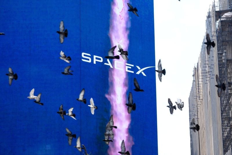SpaceX in talks over 80,000 cell sites to build new wireless network - Bloomberg