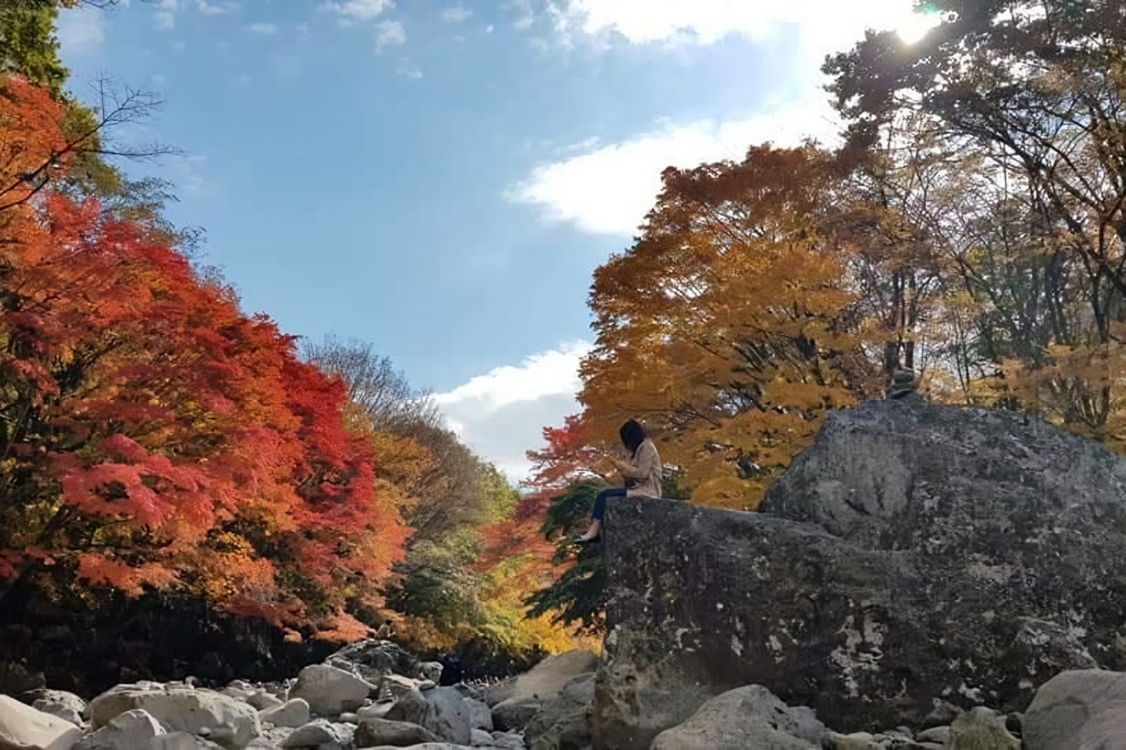 Spring comes earlier, autumn foliage later as climate change alters forests