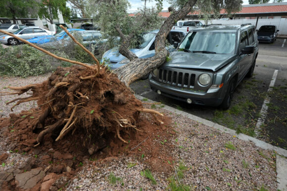Phoenix Hit by Hail and Strong Winds, Damaging Vehicles Across Valley