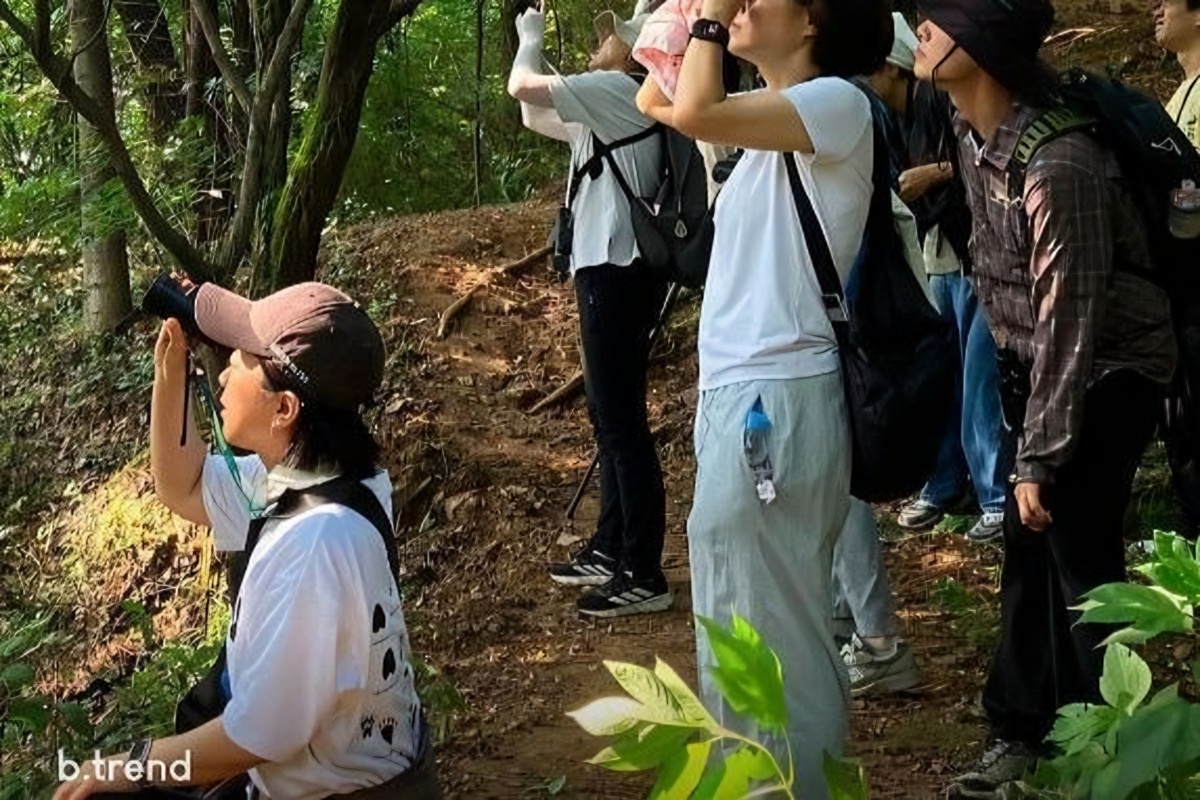 Birdwatching takes off among young Koreans