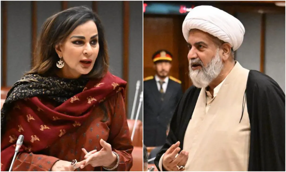 'Will petrol be available in December?': Senate echoes with shortage concerns even as minister says no supply issues