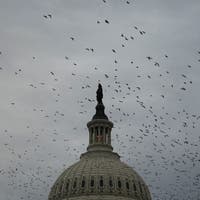 More populism threatens in both parties - this makes the US midterm elections a danger for investors