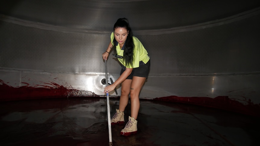 Backpackers say visa changes reduce incentive to do jobs many Aussies avoid