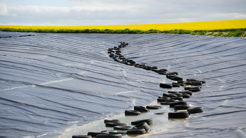 No winter respite for farmers after dry July across southern WA