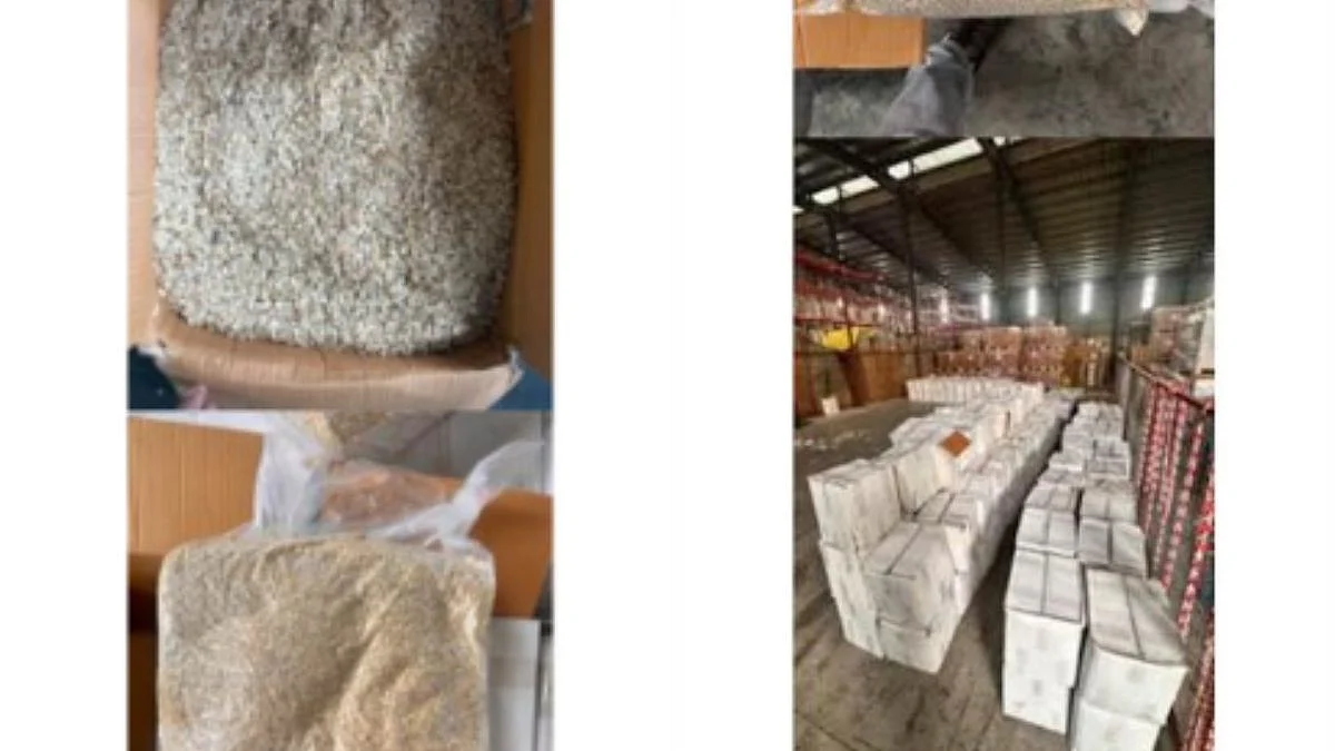 DRI Seizes 25,000 Kg Pakistan-Origin Watermelon Seeds Worth ₹2.02 Crore At Nhava Sheva Port, Arrests Two Under Operation Deep Manifest