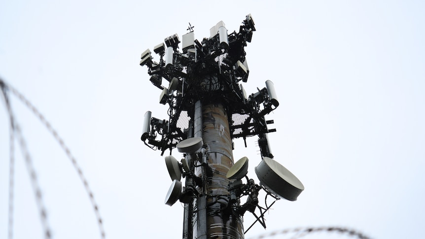 Mandatory domestic roaming to be key focus of mobile coverage inquiry