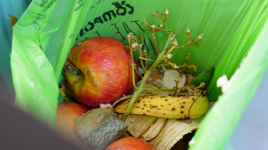 No dog poo or tea bags in surprise change to WA FOGO bin rules