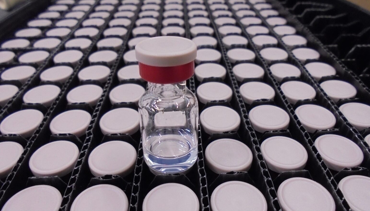DRC begins new vaccine trial as outbreak kills over 4,600