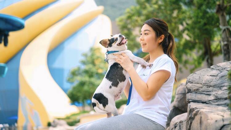 Ocean Park Hong Kong expands its dog-friendly offerings for annual members