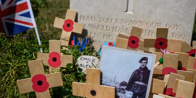 From Napoleon's camels to D-Day's dogs: The animals drafted into war