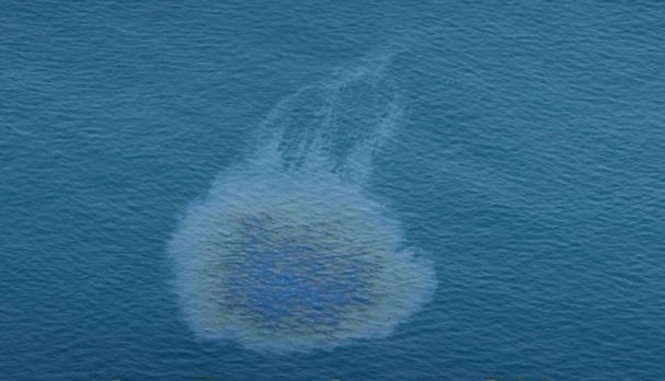 Swift response key to limiting environmental impact of UAE oil spill, experts say