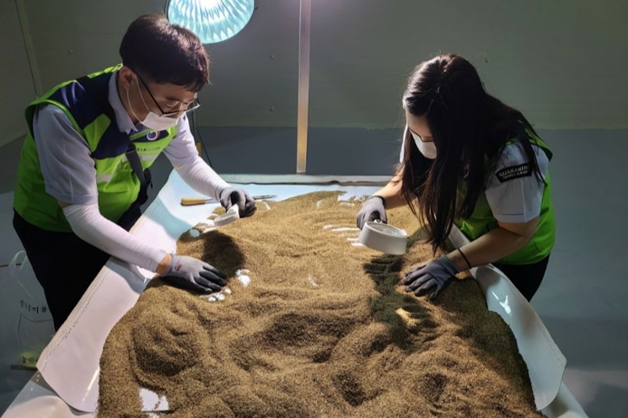Korean, African researchers join forces to protect food supplies from pests